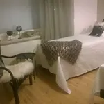 公寓 克斯基卡图公寓 *