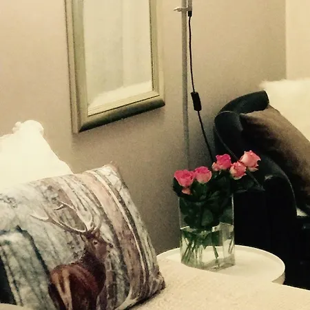 Koskikatu Ροβανιέμι