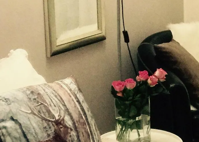 Koskikatu روفانييمي